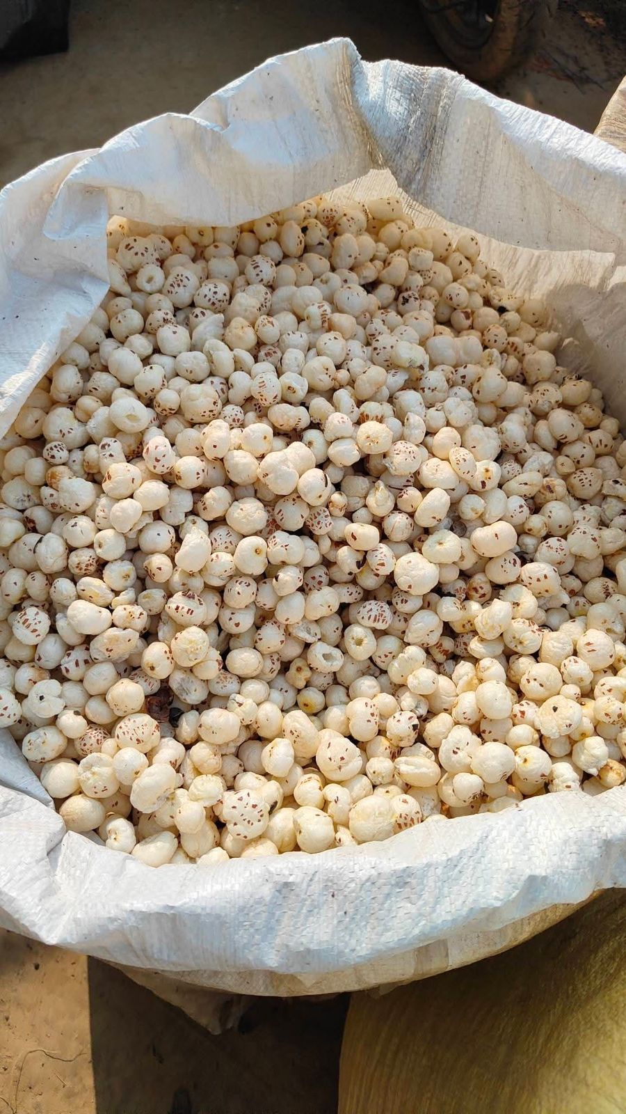 Handpicked Makhana